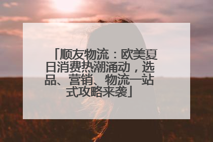 顺友物流：欧美夏日消费热潮涌动，选品、营销、物流一站式攻略来袭